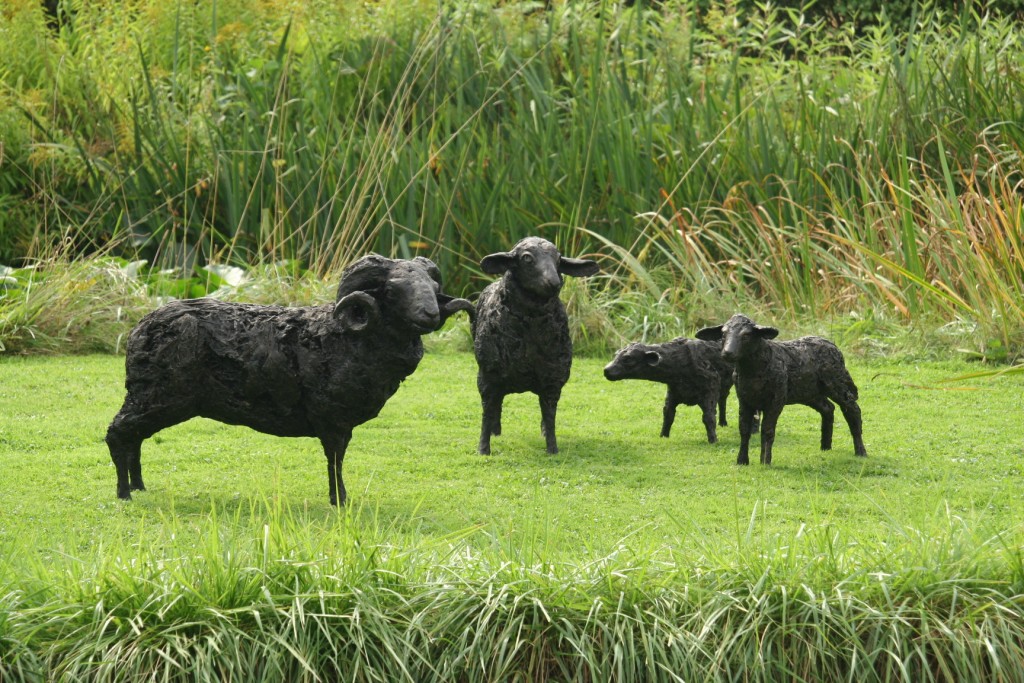 Flock of Sheep with Ram